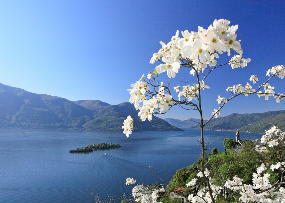 High quality-Panoramica_Lago_Maggiore_Foto_C_Sonderegger