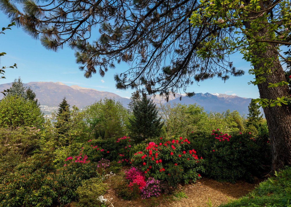 High quality-Parco Botanico del Gambarogno - Vairano (Ascona-Locarno Tourism - foto Alessio Pizzicannella)